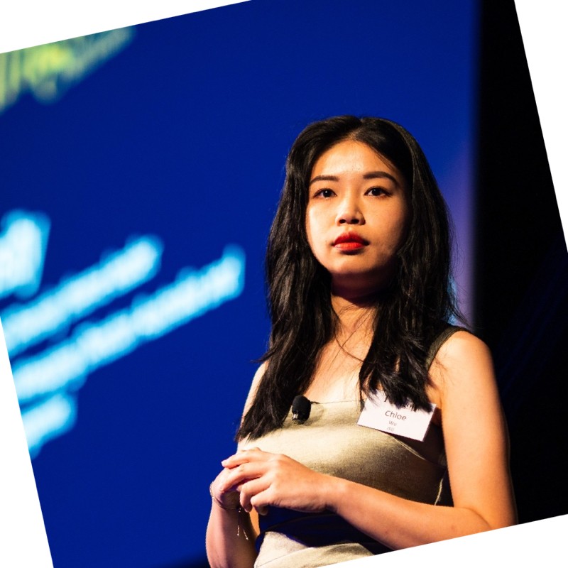 Diandian Wu speaking at a conference